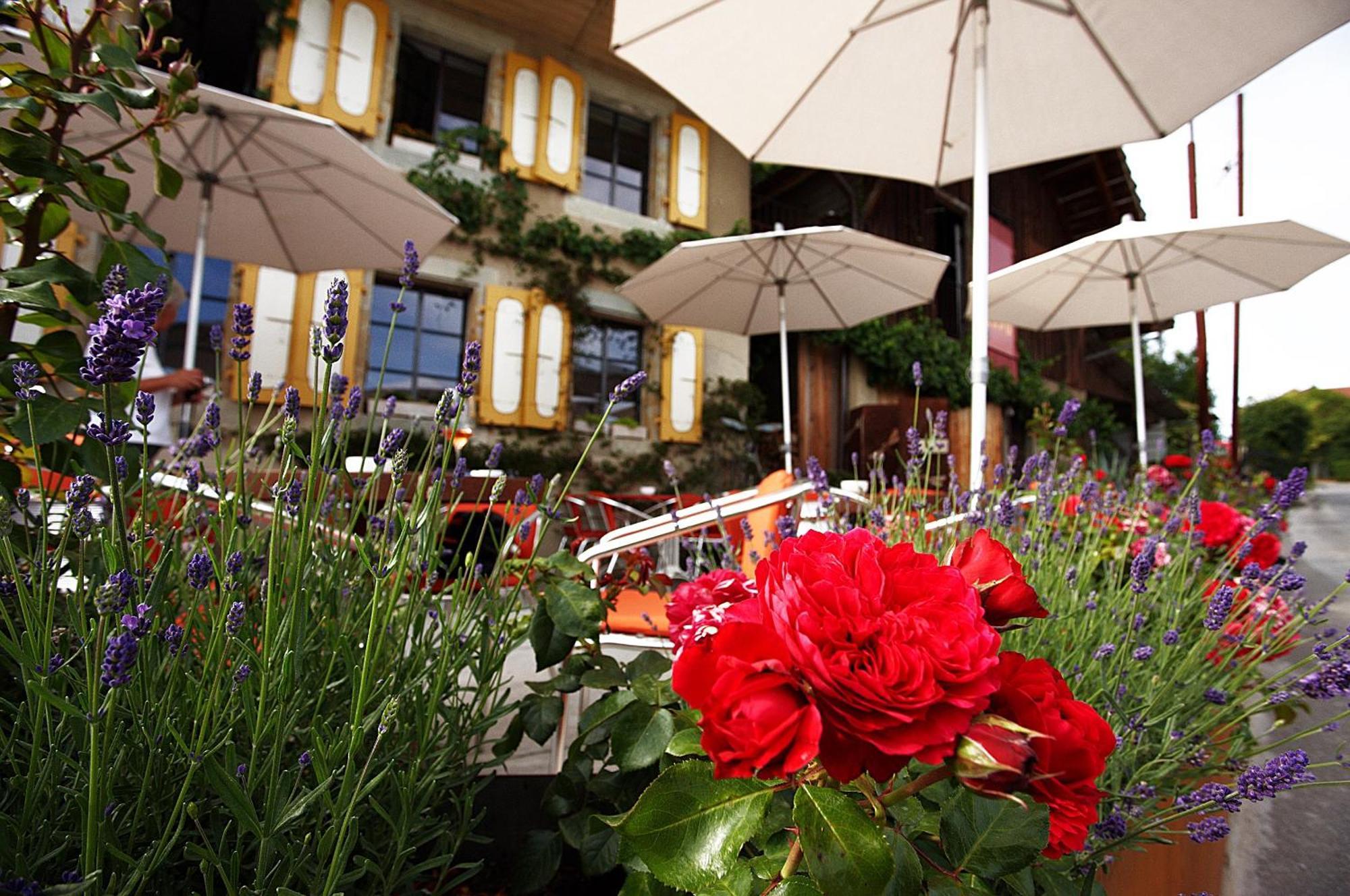 BnB Belle5 Vully-les-Lacs Exterior foto